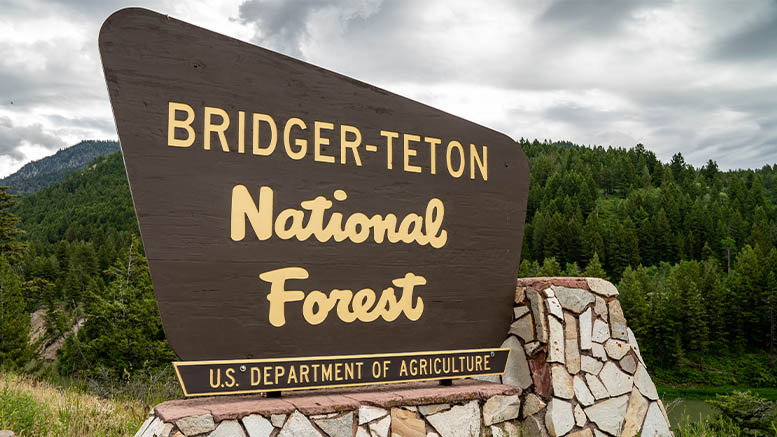 Bridger-Teton National Forest Sign