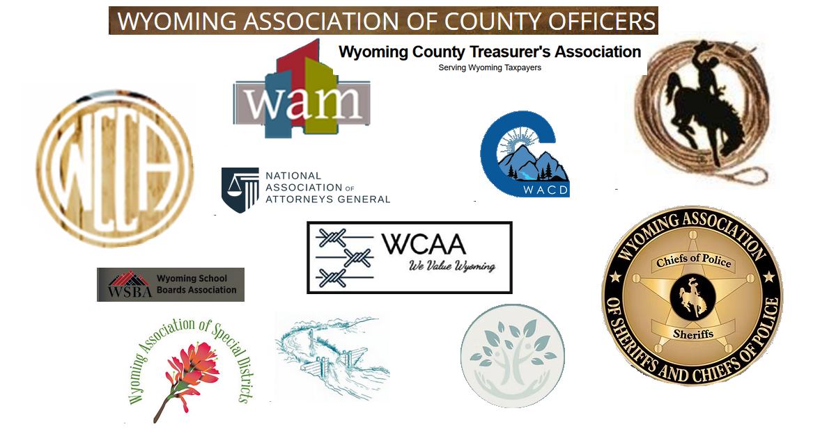 Non Governmental Associations in Wyoming