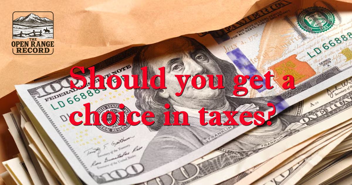 Image asking if you should get to vote on taxes