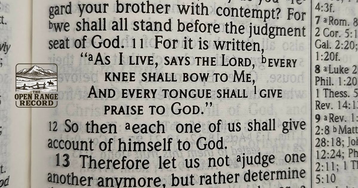 Picture of page from The Bible: Romans 14:11-12