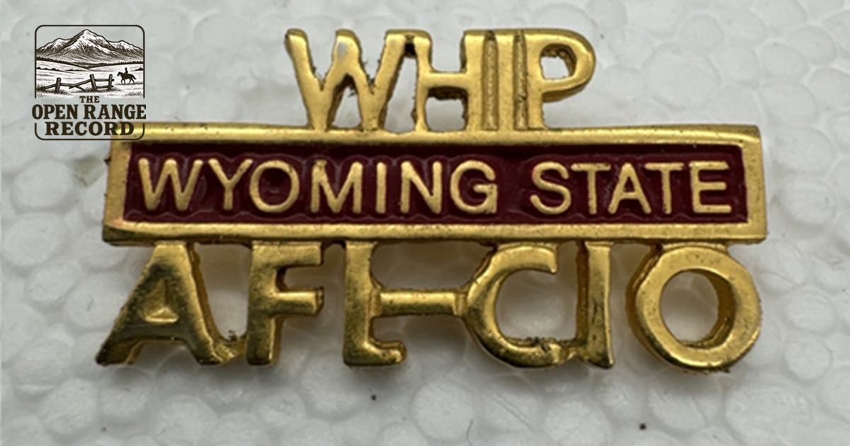 AFL-CIO Pin