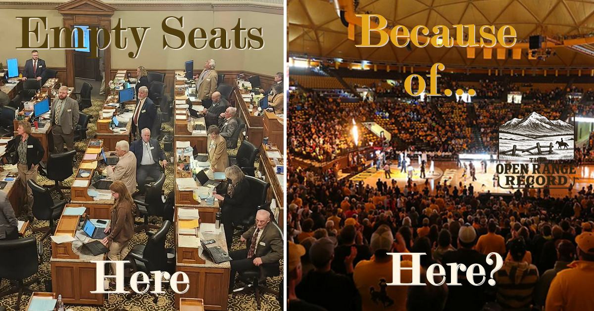Picture of House floor and Arena Auditorium