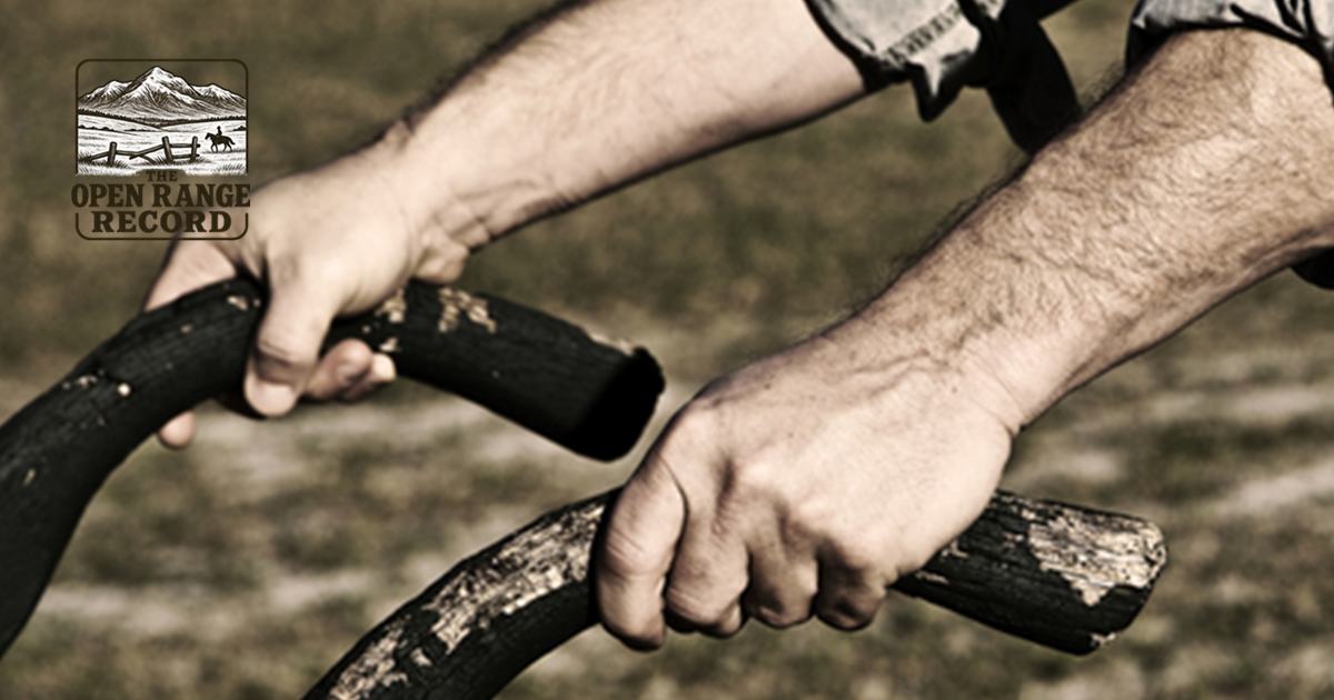 Picture of a man's hands on a plow