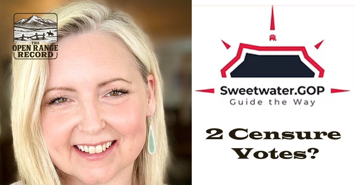 Sweetwater Co Republican Elizabeth Bingham
