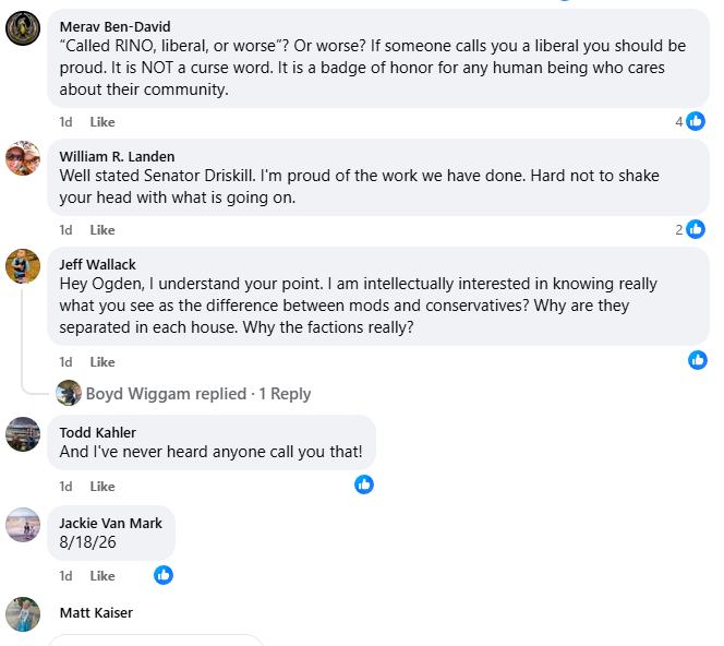 Screenshot of comments on Driskill post.