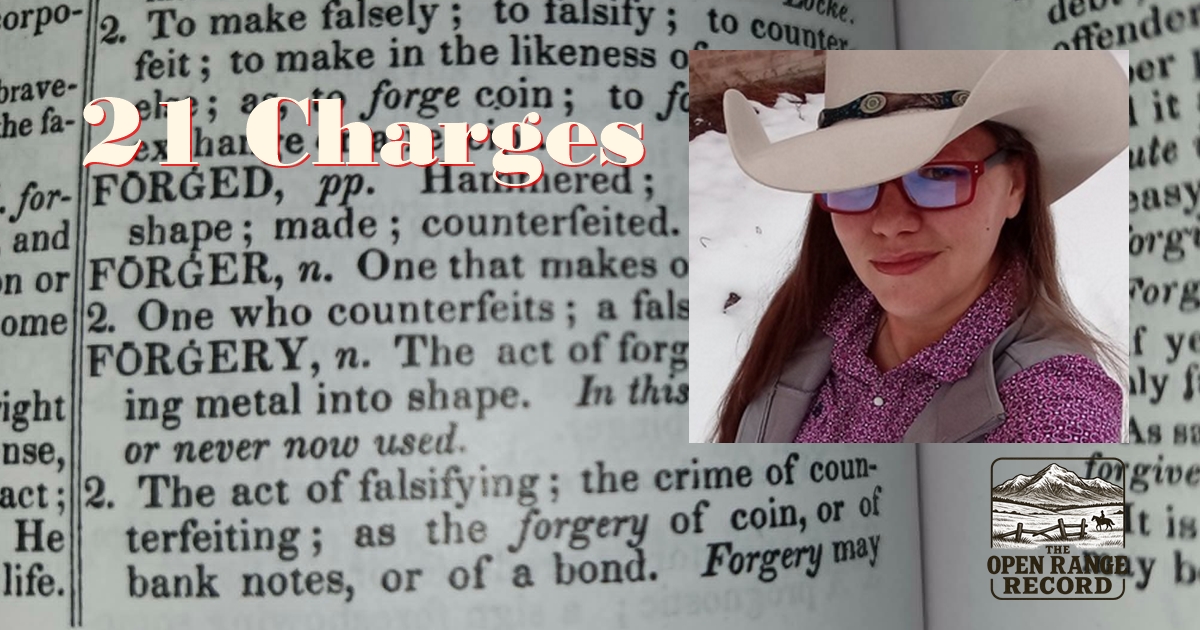 April Marie Morganroth is facing 21 counts of perjury/forgery