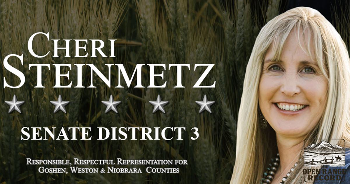Senator Cheri Steinmetz