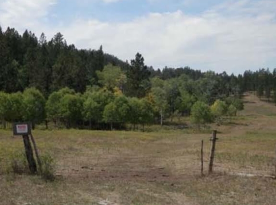 From SLIB file. Property Driskill traded for the Devil's Tower parcel.