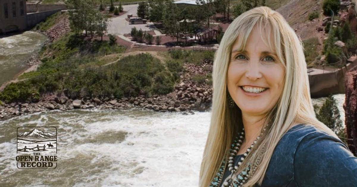 Senator Cheri Steinmetz