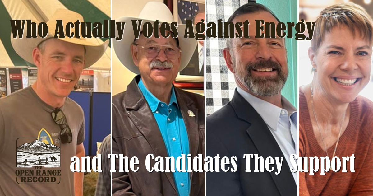 Tyler Lindholm, Ogden Driskill, Eric Barlow, Melissa Butcher