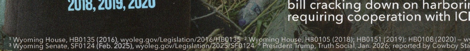 Mailer vote citations
