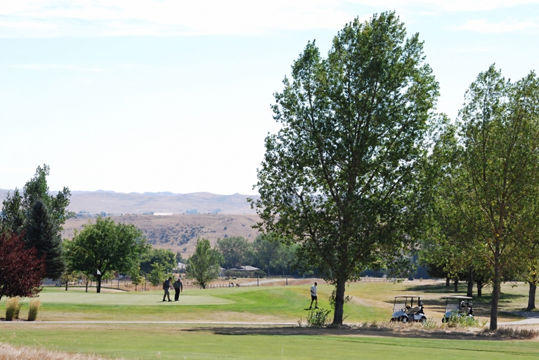 Kendrick No. 18 green