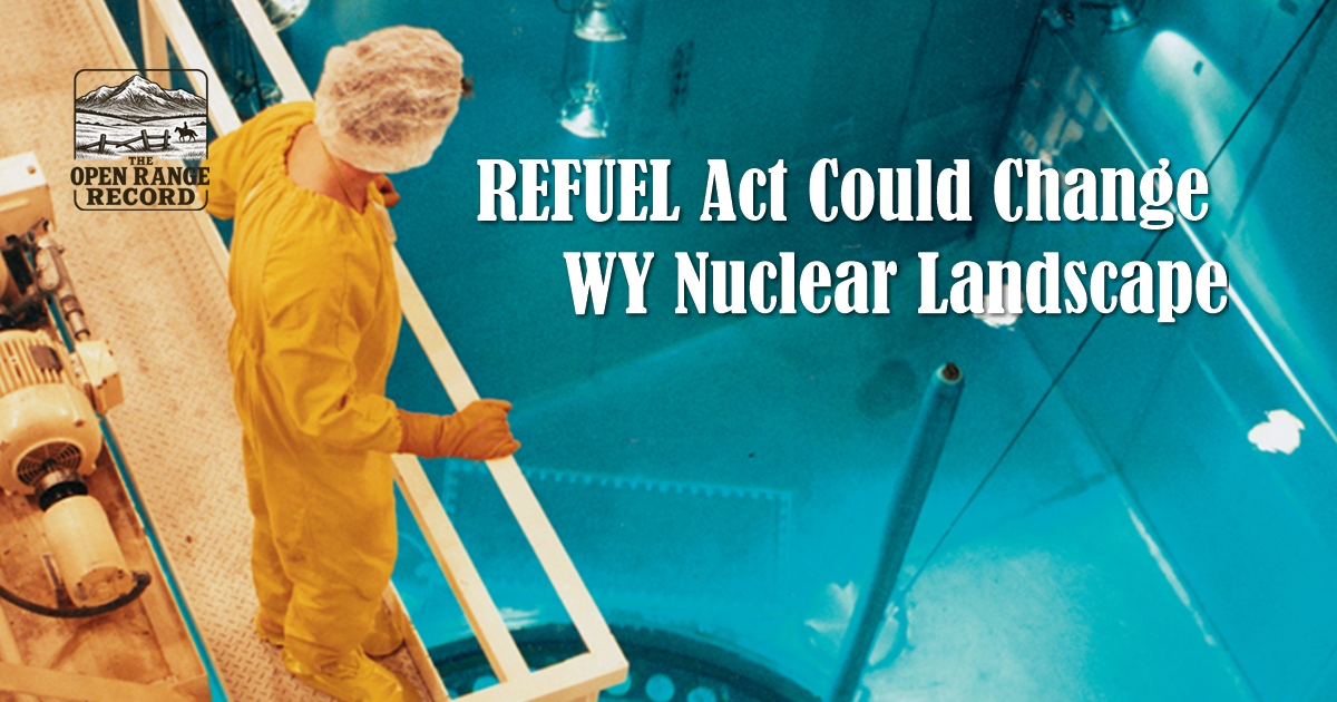 Nuclear worker looks over reactor during refueling